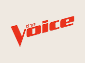 The Voice The Voice